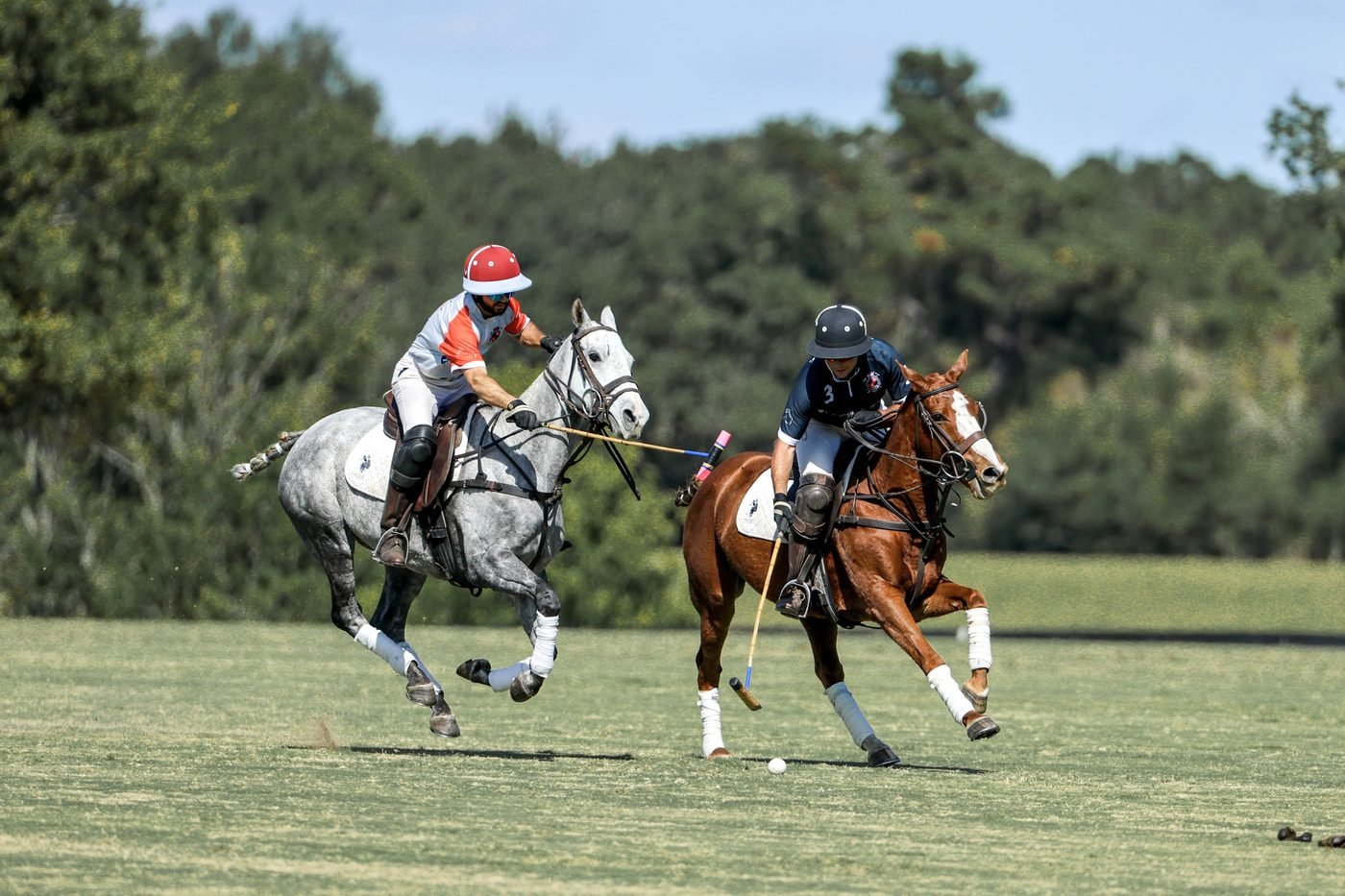 Two horses in polo action