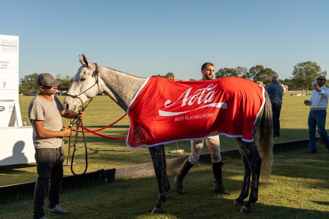 Horse in New Orleans Polo Club blanket