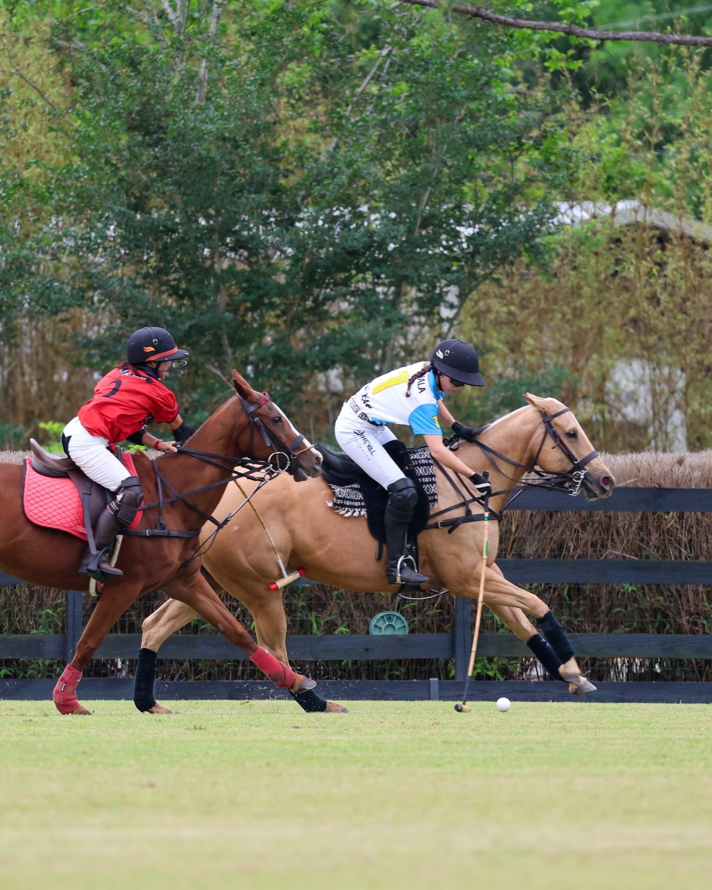 Polo player mid-swing