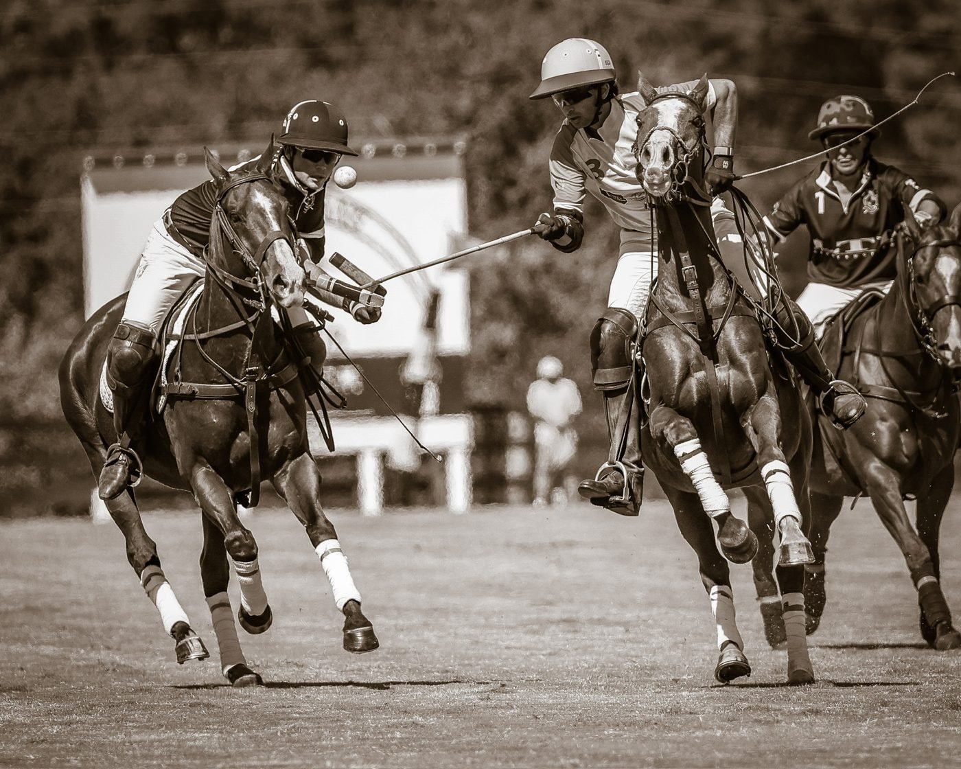 Polo players racing for the ball, New Orleans Polo Club