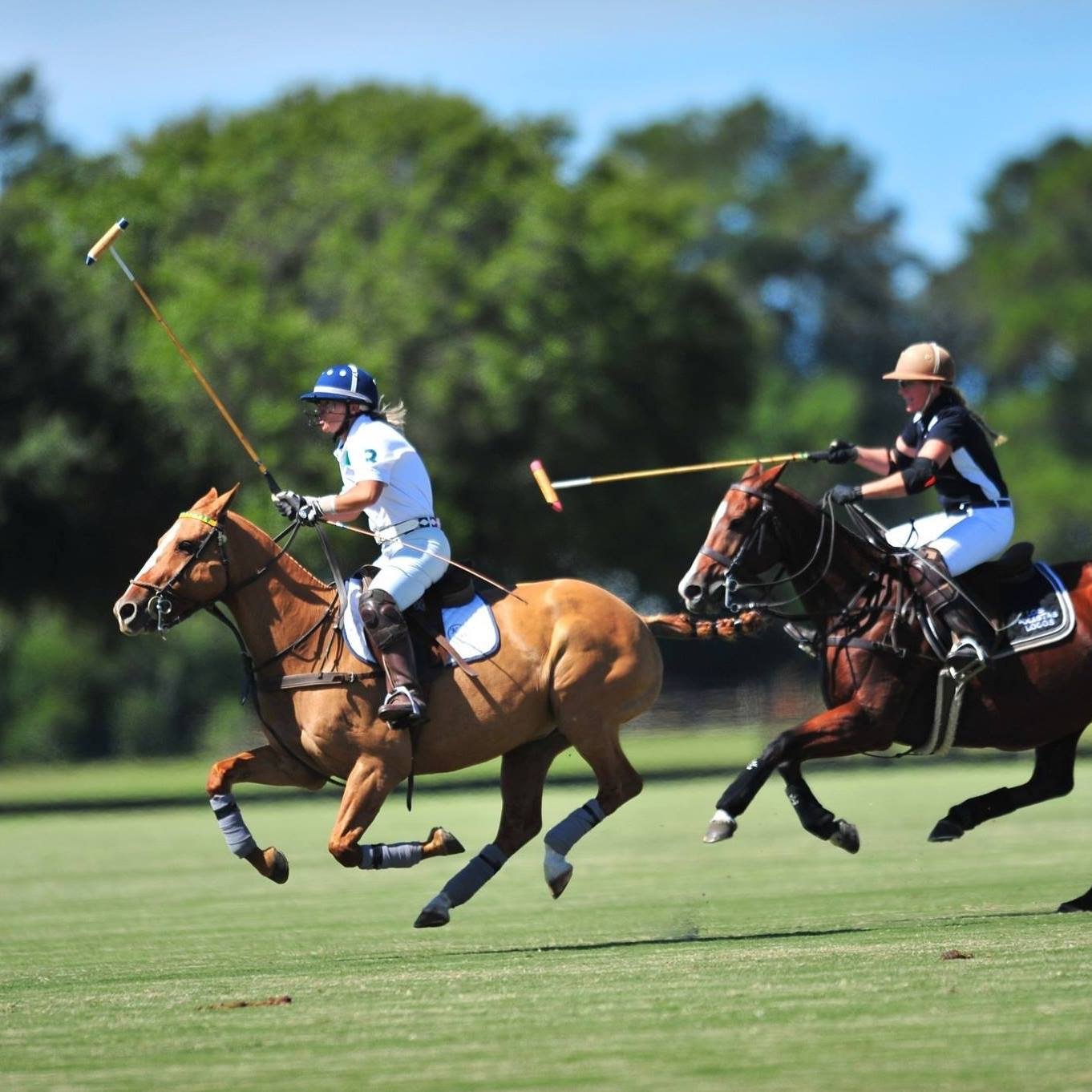 Polo players galloping down the field at New Orleans Polo Club in Folsom, Louisiana